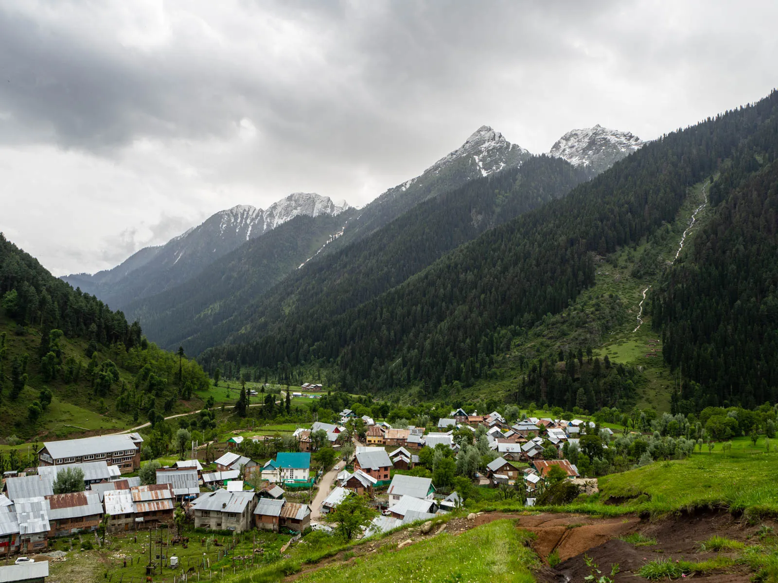 Aru Valley - pristine meadow village with rolling green pastures near Pahalgam
